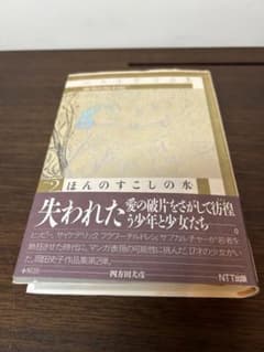 岡田史子作品集② ほんのすこしの水 【帯付】 NTT出版 - メルカリ