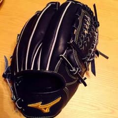 ミズノプログローブのサムネイル