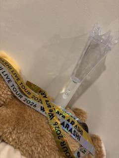 ARASHI ペンライト　金テ銀テ 2026 LIVE TOUR札幌初日 ARASHI ペンライト 金テ銀テ 2026 LIVE TOUR札幌初日 - メルカリ