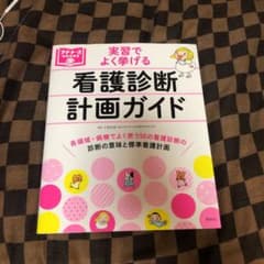 看護診断・計画ガイド 実習でよく挙げるのサムネイル