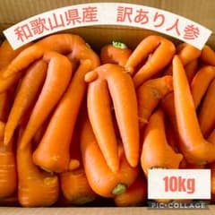 【訳あり】採れたて人参　10kgのサムネイル