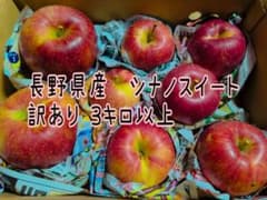 長野県産 シナノスイート 訳あり 3キロ以上のサムネイル