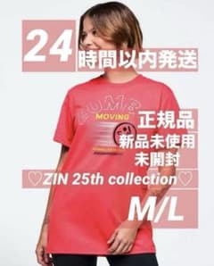 正規品 新作 新品未開封 ZUMBA ZIN25周年 メッシュ Tシャツ S 正規品 新品未開封 ZUMBA ZIN25周年 Tシャツ M/L 完売品 - メルカリ