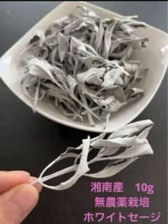 湘南産無農薬ホワイトセージ10gのサムネイル