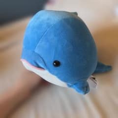 シーパラダイス いるかぬいぐるみのサムネイル