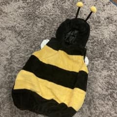 蜂さん　着ぐるみ　コスプレのサムネイル