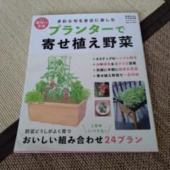 プランターで寄せ植え野菜のサムネイル