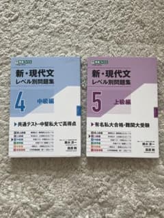 新・現代文レベル別問題集 ④・⑤ 2冊セットのサムネイル