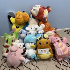 ポケモンぬいぐるみ14点＋ブランケット1点　合計15点セット