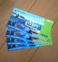 新江ノ島水族館 ご招待券 4枚セット 有効期限　2026年9月30日までのサムネイル