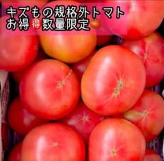 塩トマトのできる土壌の訳あり桃太郎トマト 5キロ 数量限定 規格外トマト熊本のサムネイル