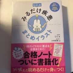 みるだけ疾患まとめイラスト　最終価格‼️のサムネイル