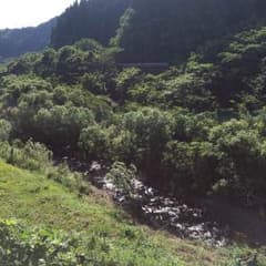 返金処理用^ ^のサムネイル