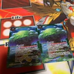 緑の世界2枚のサムネイル