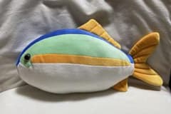 室戸廃校水族館　ブリ　ぬいぐるみ　4等のサムネイル