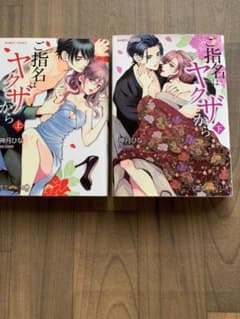 ご指名はヤクザから　上下のサムネイル