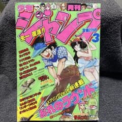 m26330136094_1.jpg?1744723772