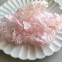 紫陽花 プリザーブドフラワー ベビーピンク