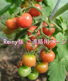 Reiny様　専用ページのサムネイル