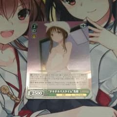 【ヴァイス】“ドキドキバスタイム”美柑 SRのサムネイル