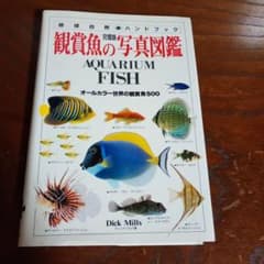 観賞魚の写真図鑑 : オールカラー世界の観賞魚500 完璧版のサムネイル