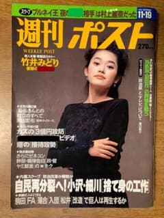週刊ポスト 1993年（平成5年）11月19日号 竹井みどり 掛布/岡田 - メルカリ