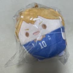 ハイキュー!! くじメイト ぬいくじ D賞 ふわコロりん 日向翔陽 - メルカリ