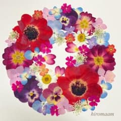 ★赤いアネモネと小花のセット★押し花素材のサムネイル