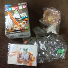 リーメント　ぷちねこ日記のサムネイル