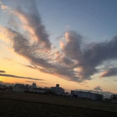 タヌキ様専用のサムネイル