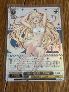 新しい夜明け 女神官 GA文庫 SR - メルカリ