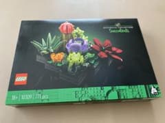 LEGO BOTANICAL COLLECTION  観葉植物のサムネイル