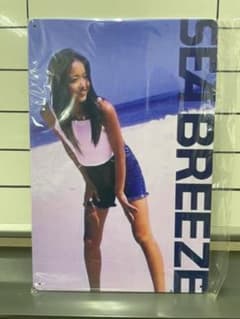シーブリーズ A 安室奈美恵 ブリキ看板 レトロ看板☆ 新品