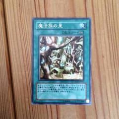 魔法族の里のサムネイル