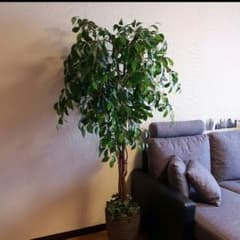 ゆまま♯プロフ必読様専用　観葉植物　フェイク　造花　大型のサムネイル