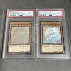 【PSA8】青眼の白龍　ホログラフィックパラレルレア　2枚 PSA8】青眼の白龍 ホログラフィックパラレルレア 2枚 - メルカリ