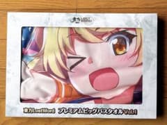 東方LostWord プレミアムビッグバスタオル