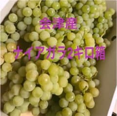 ナイアガラ2キロ箱 ぶどうのサムネイル