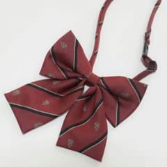 ゆりちゃむ様専用☆制服 リボン 赤のサムネイル