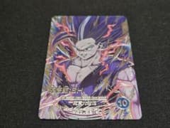 ほんとは売りたくない　 孫悟飯：SH SDV10-SEC2のサムネイル