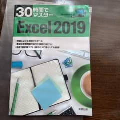 30時間でマスターExcel 2019のサムネイル
