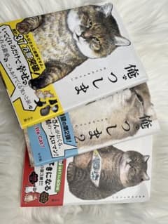 俺、つしま　3冊セットのサムネイル