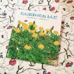 絵本『たんぽぽのたね とんだ』すずきゆりいか ごんもりなつこのサムネイル