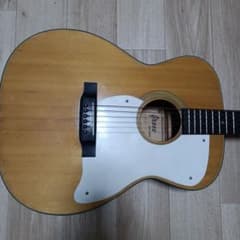 レスター・フラット仕様 Grecoグレコ gnecoロゴ カスタマイズ フジケン