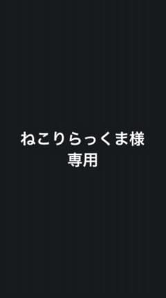 ねこりらっくま様専用 スクイーズのサムネイル