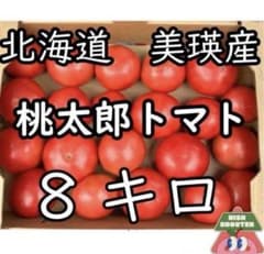 北海道美瑛産　甘くてジュージー！桃太郎トマトのサムネイル