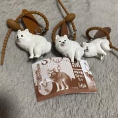 どこでもふんばり〜ぬ ポメラニアン 3点セットのサムネイル