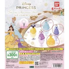 ディズニー プリンセス コスチュームぬじるしアクセサリーのサムネイル