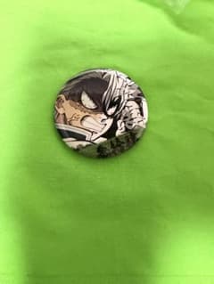 귀멸의 칼날 기둥전 기둥 백경 이모셔널 캔 배지 불사가와 미야 24