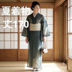 【トールサイズ】夏着物 絽 正絹 縦縞 深緑×ミントグリーン 身丈170 裄65 トールサイズ】夏着物 絽 正絹 縦縞 深緑×ミントグリーン 身丈170 裄65
